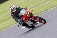 Vintage-motorcycle-club;eventdigitalimages;mallory-park;mallory-park-trackday-photographs;no-limits-trackdays;peter-wileman-photography;trackday-digital-images;trackday-photos;vmcc-festival-1000-bikes-photographs